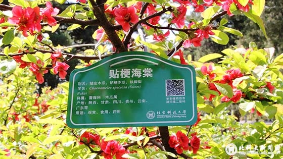 8c824053b9519754750dcdaa78a3f211.jpg 1.jpg