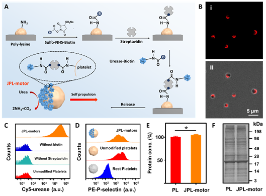 1592471612230816.png image.png